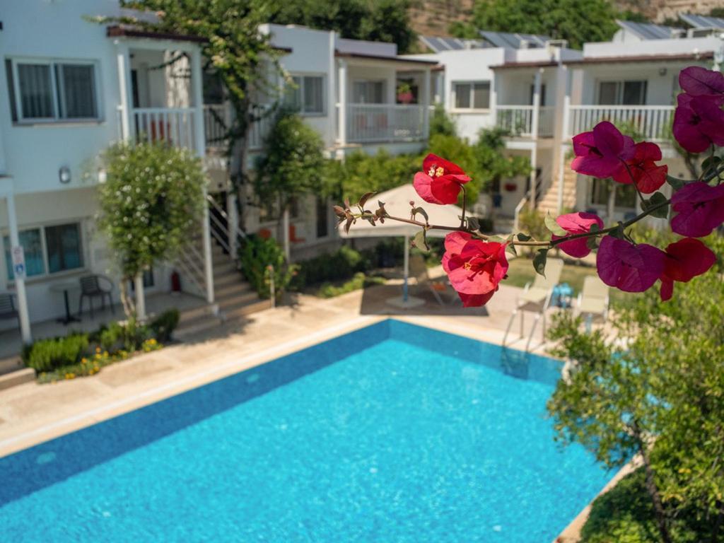 Hotel Gümüşlük Esterno foto